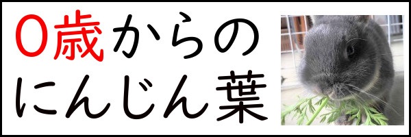 0歳からのにんじん葉