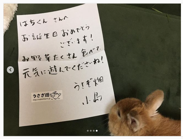 うさぎ畑,ユーザーフォト,Instagram