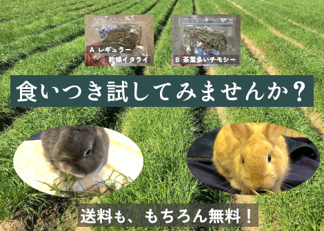 牧草試供品サンプルプレゼント