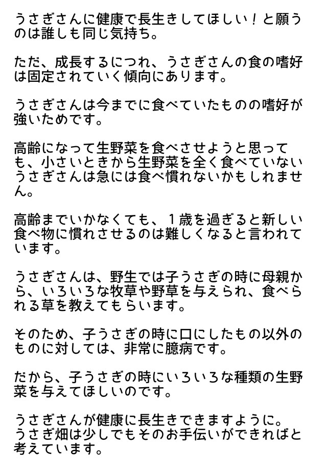 うさぎさんに健康で長生きしてほしい