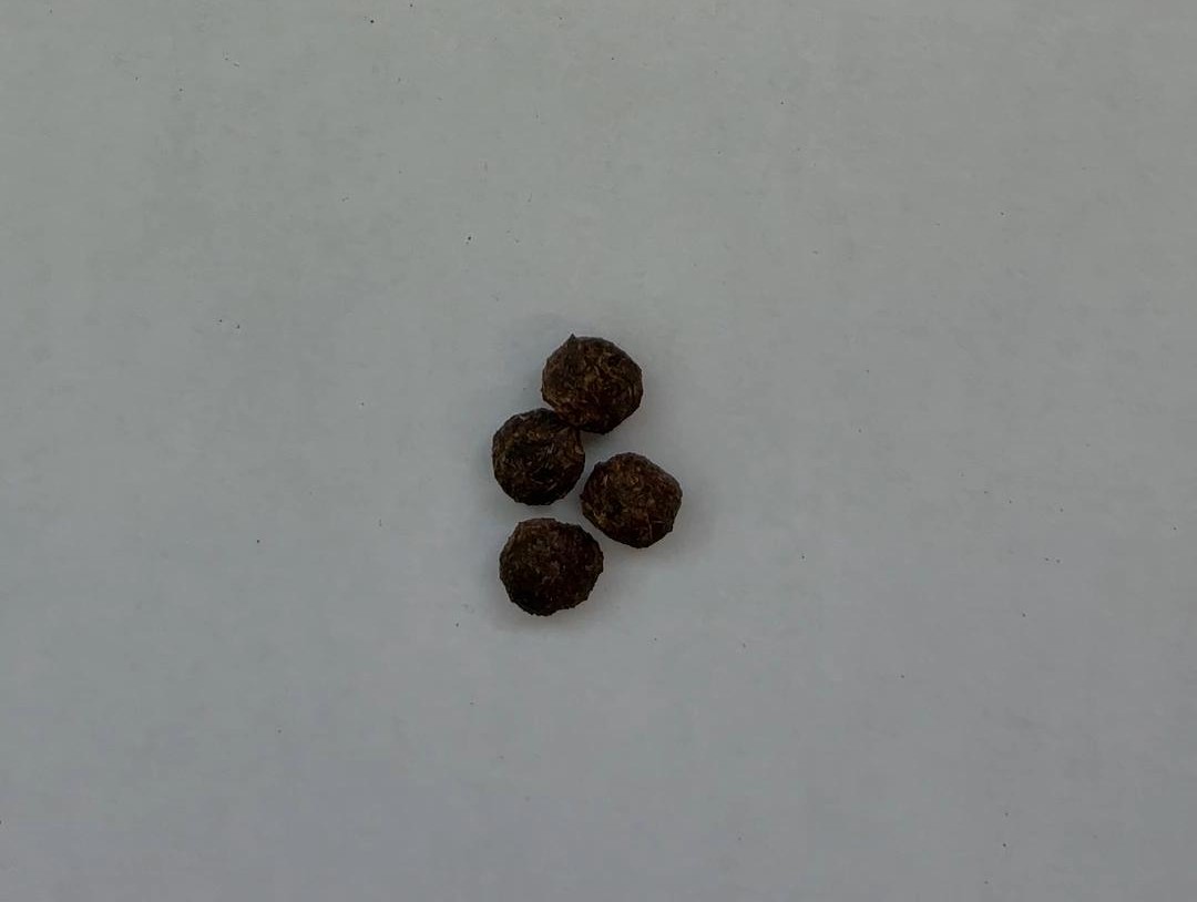 うんちが小さい