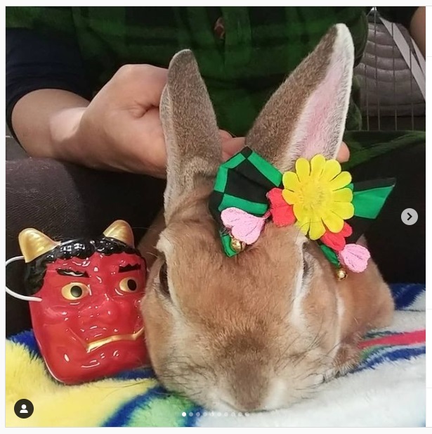 うさぎ畑,ユーザーフォト