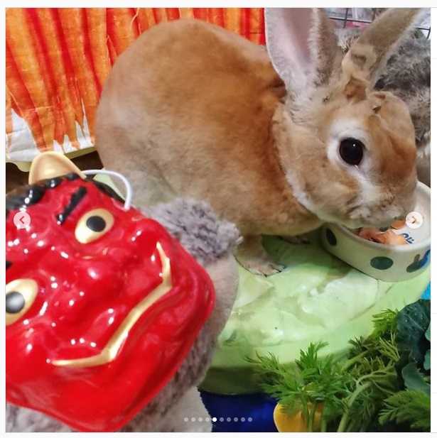 うさぎ畑,ユーザーフォト