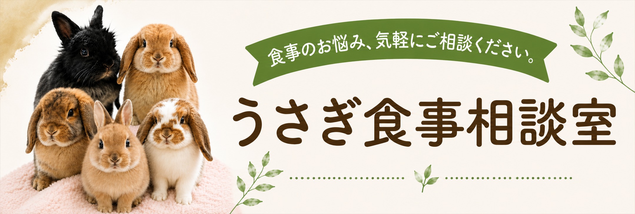 うさぎ食事相談室
