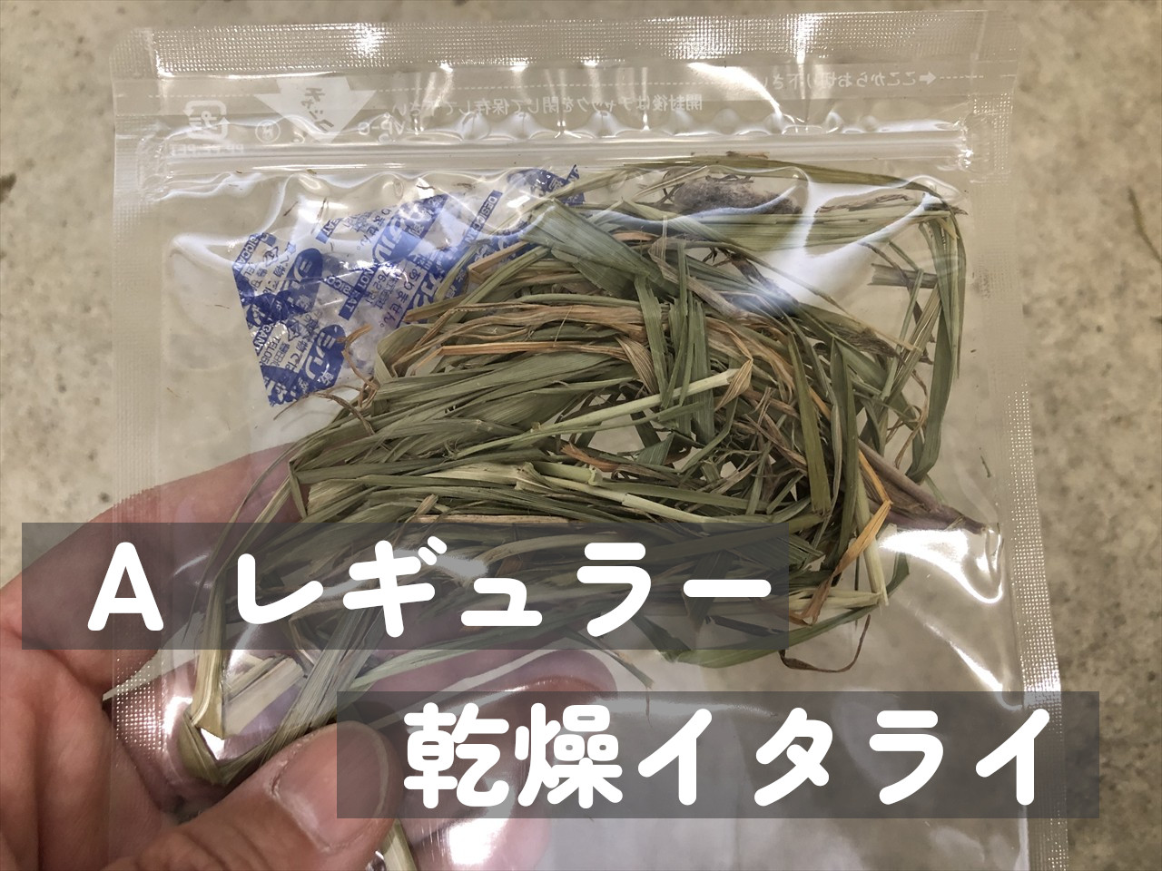 牧草試供品サンプル