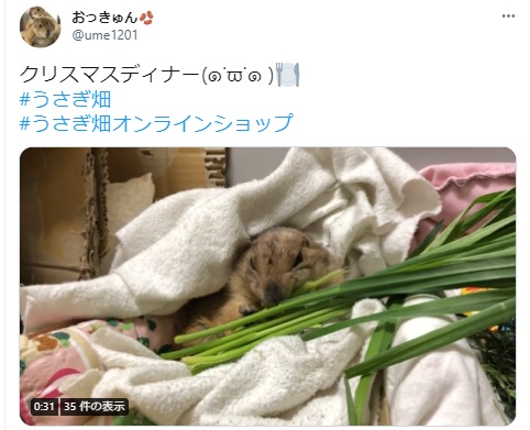 うさぎ畑,ユーザーフォト,Twitter