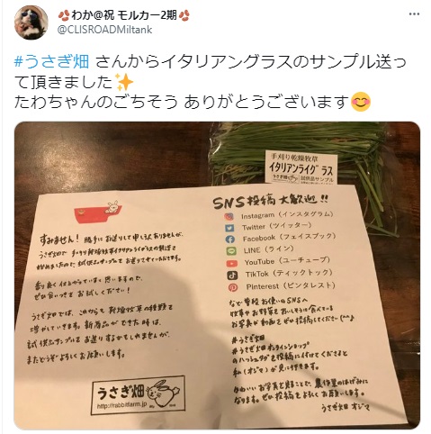 うさぎ畑,ユーザーフォト,Twitter