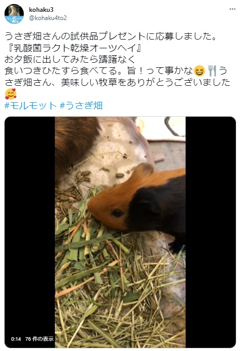 うさぎ畑,ユーザーフォト,Twitter