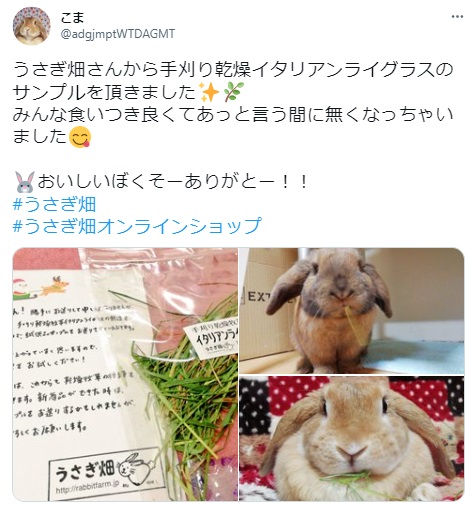 うさぎ畑,ユーザーフォト,Twitter