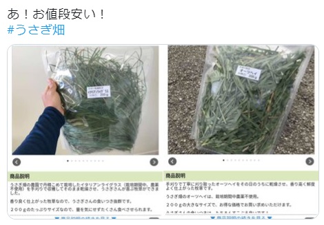 うさぎ畑,ユーザーフォト,Twitter