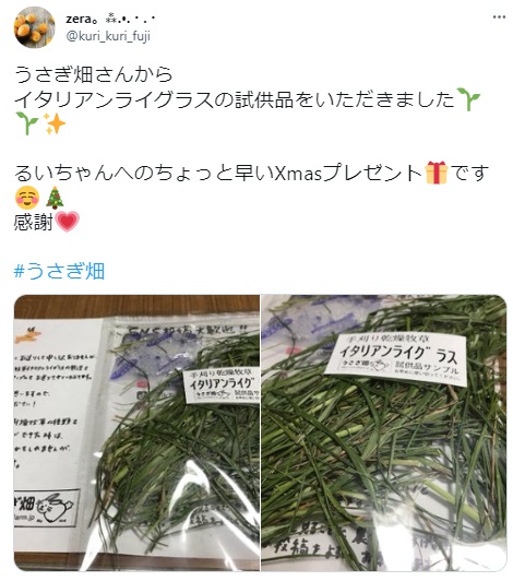 うさぎ畑,ユーザーフォト,Twitter