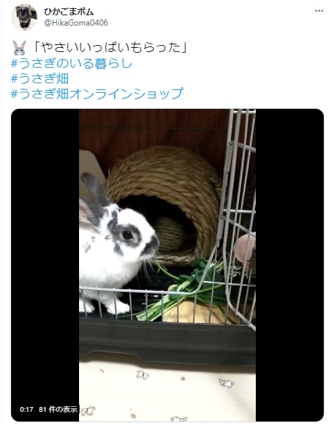 うさぎ畑,ユーザーフォト,Twitter