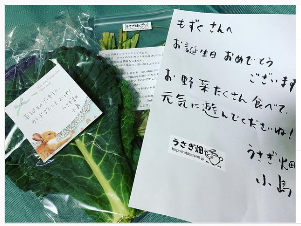 うさぎ畑,ユーザーフォト