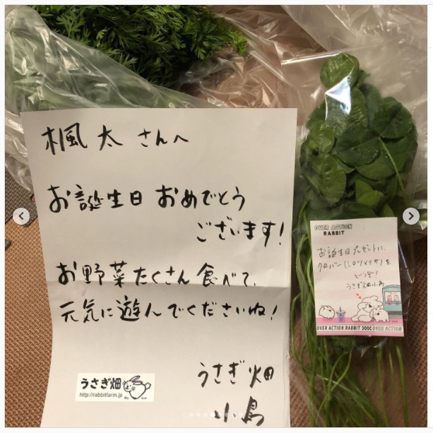 うさぎ畑,ユーザーフォト,Instagram
