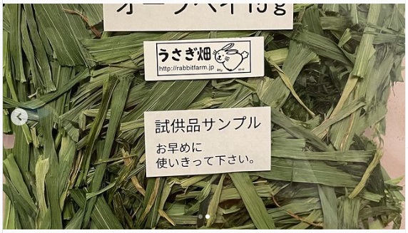 うさぎ畑,ユーザーフォト,Instagram