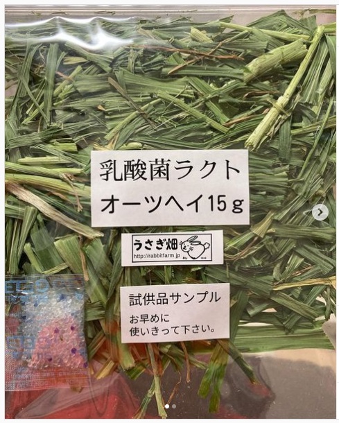 うさぎ畑,ユーザーフォト,Instagram