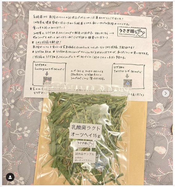 うさぎ畑,ユーザーフォト,Instagram