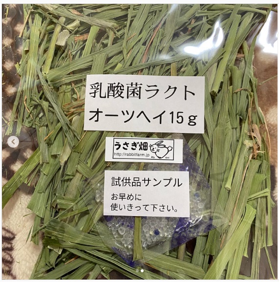 うさぎ畑,ユーザーフォト,Instagram