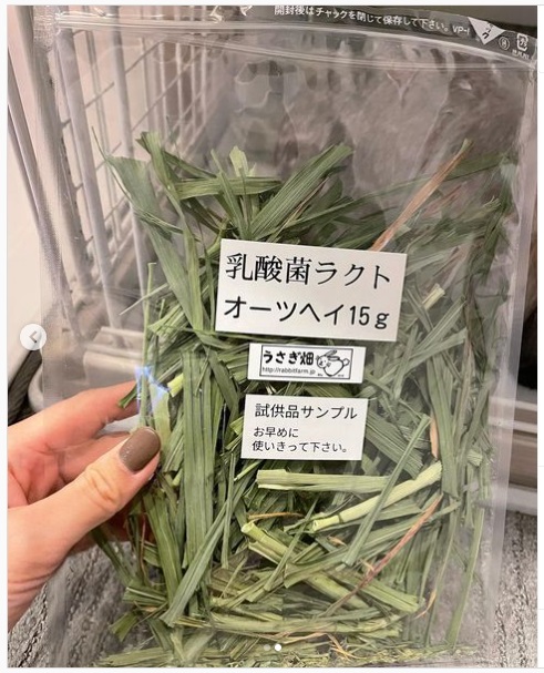 うさぎ畑,ユーザーフォト,Instagram