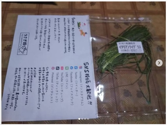 うさぎ畑,ユーザーフォト,Instagram