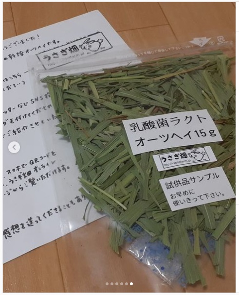 うさぎ畑,ユーザーフォト,Instagram