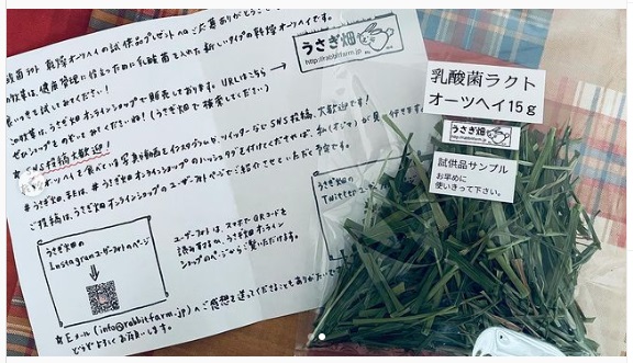 うさぎ畑,ユーザーフォト,Instagram