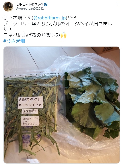 うさぎ畑,ユーザーフォト,Twitter