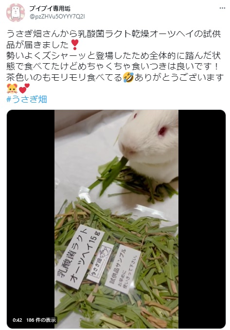 うさぎ畑,ユーザーフォト,Twitter