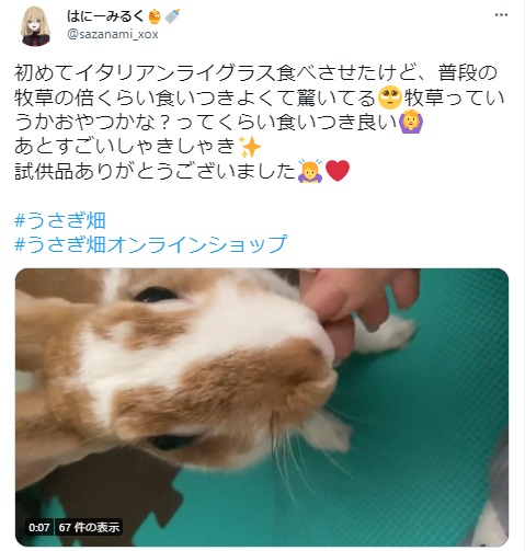 うさぎ畑,ユーザーフォト,Twitter