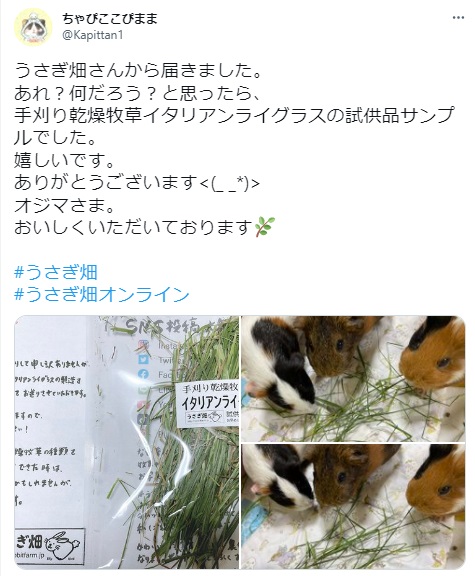 うさぎ畑,ユーザーフォト,Twitter