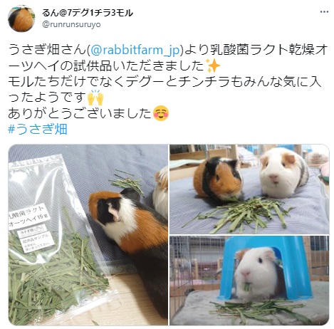 うさぎ畑,ユーザーフォト,Twitter