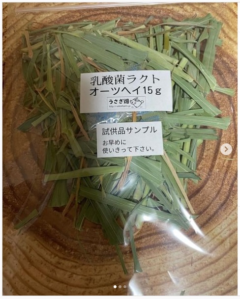 うさぎ畑,ユーザーフォト,Instagram