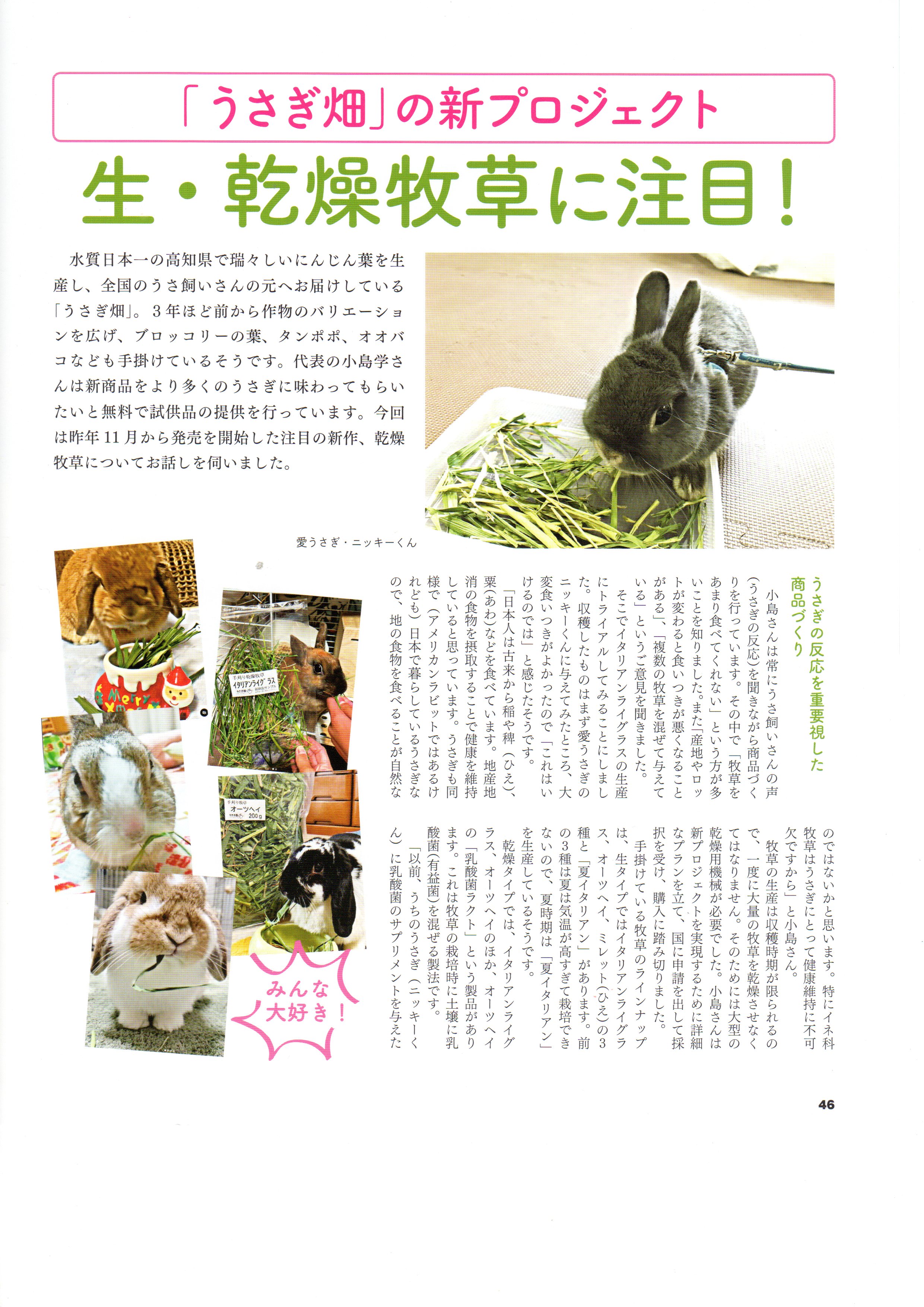 うさぎと暮らす,うさぎ畑