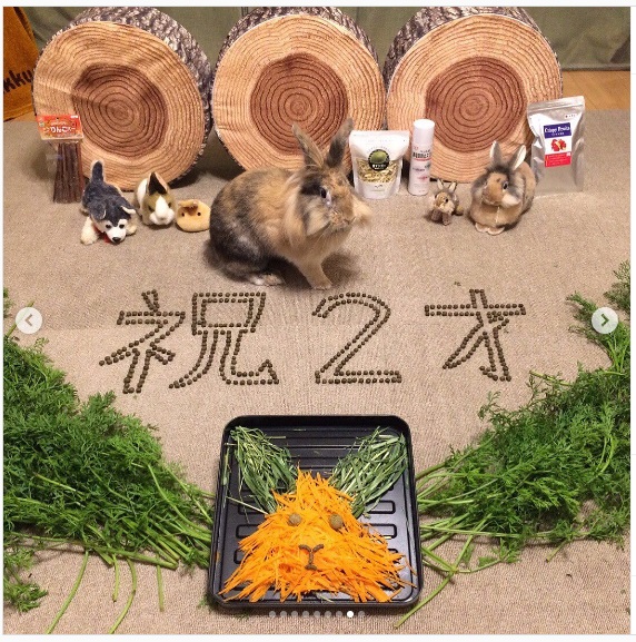 うさぎ畑,ユーザーフォト,Instagram