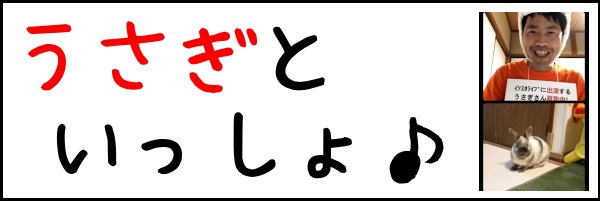 うさぎといっしょ,うさぎ,うさぎ畑