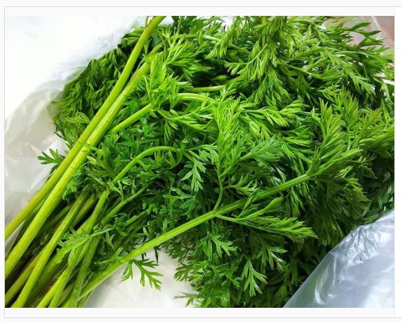 うさぎ畑,ユーザーフォト,Instagram