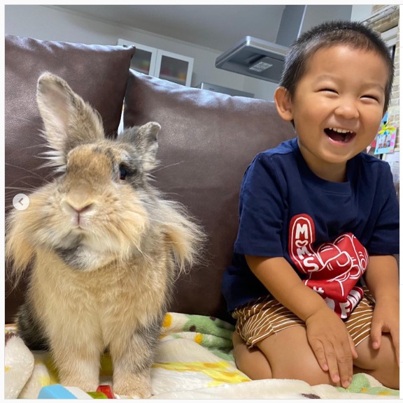 うさぎ畑,ユーザーフォト,Instagram