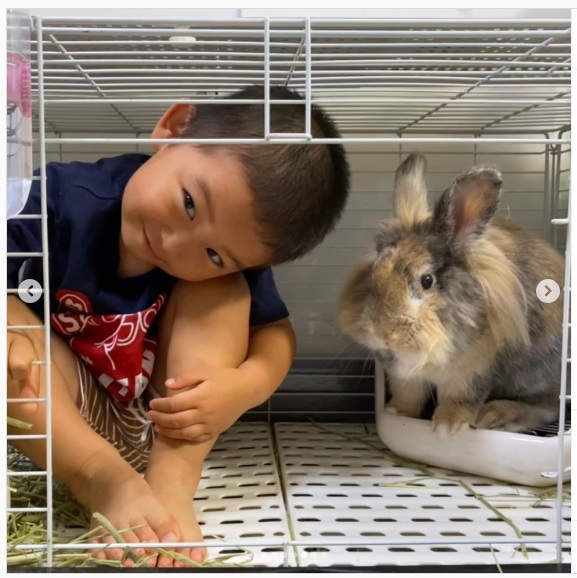 うさぎ畑,ユーザーフォト,Instagram