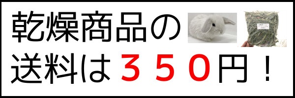 乾燥,350円