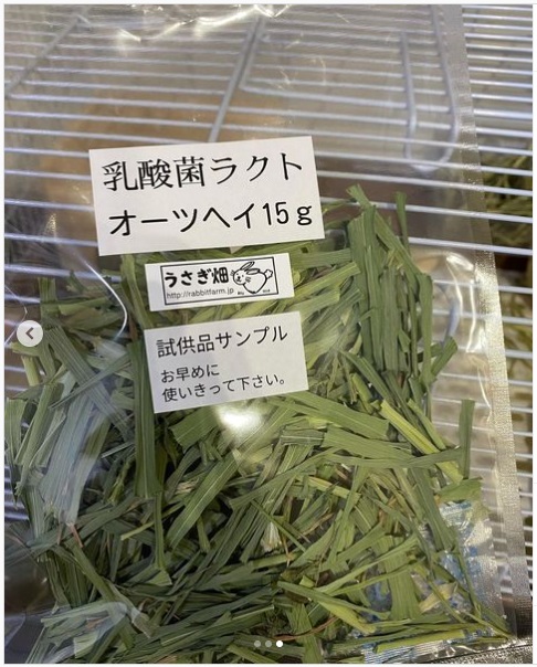 うさぎ畑,ユーザーフォト,Instagram