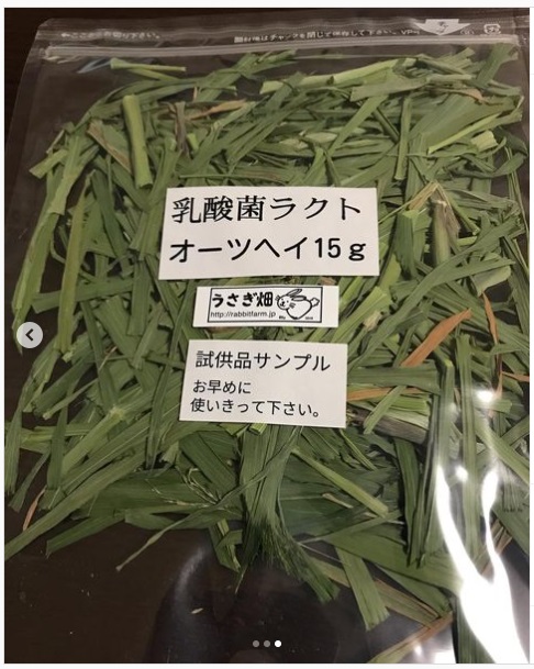 うさぎ畑,ユーザーフォト,Instagram