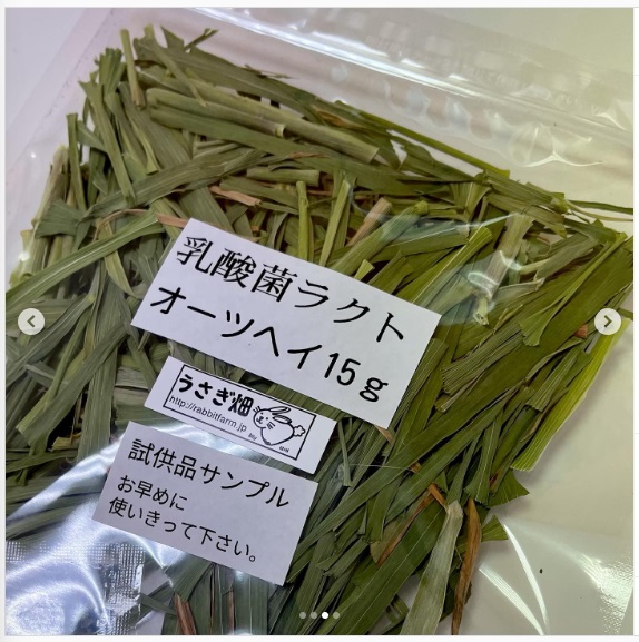 うさぎ畑,ユーザーフォト,Instagram