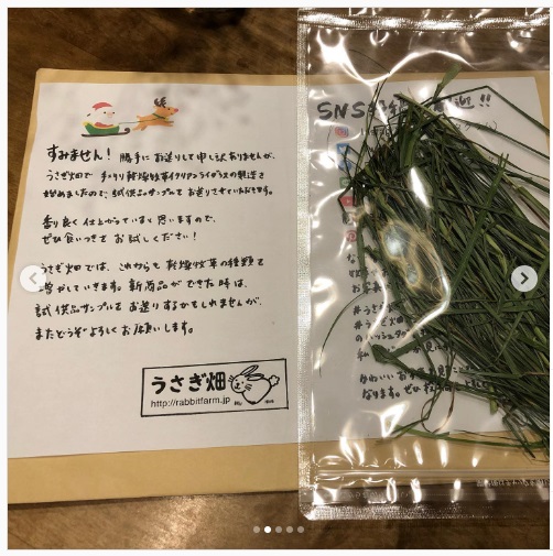 うさぎ畑,ユーザーフォト,Instagram