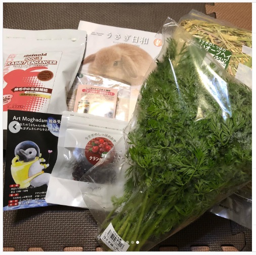 うさぎ畑,ユーザーフォト,Instagram