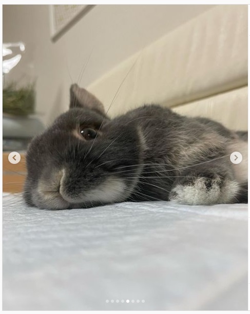 うさぎ畑,ユーザーフォト,Instagram