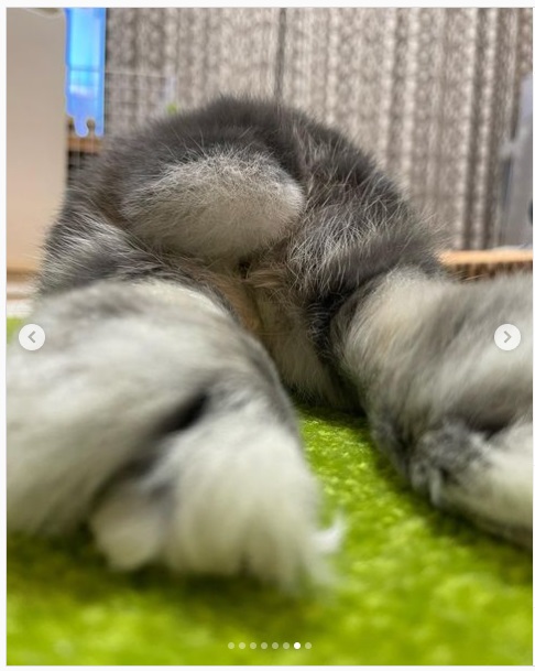 うさぎ畑,ユーザーフォト,Instagram