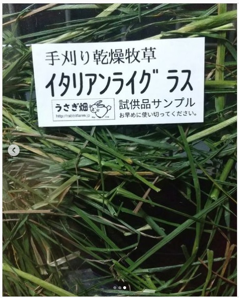 うさぎ畑,ユーザーフォト,Instagram