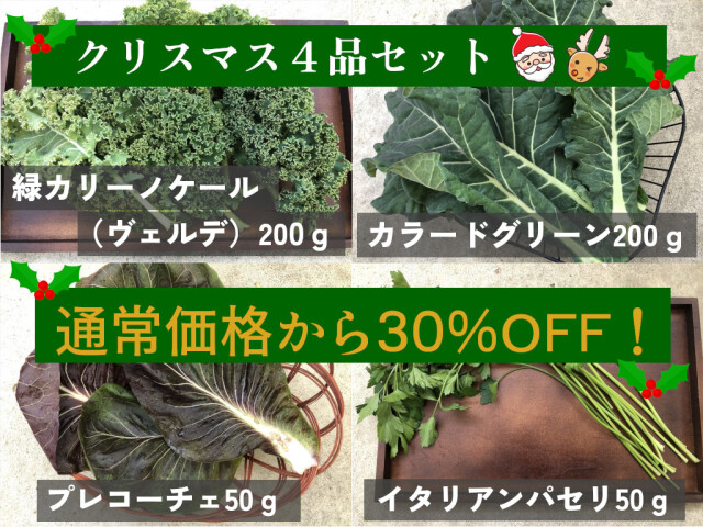 クリスマスセール４品セット