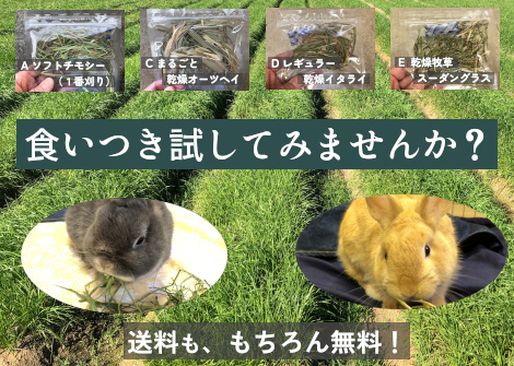 牧草試供品サンプルプレゼント