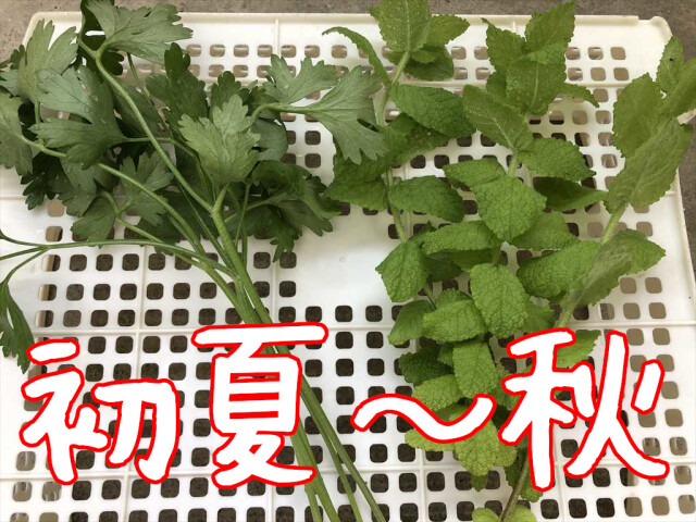 生アソート